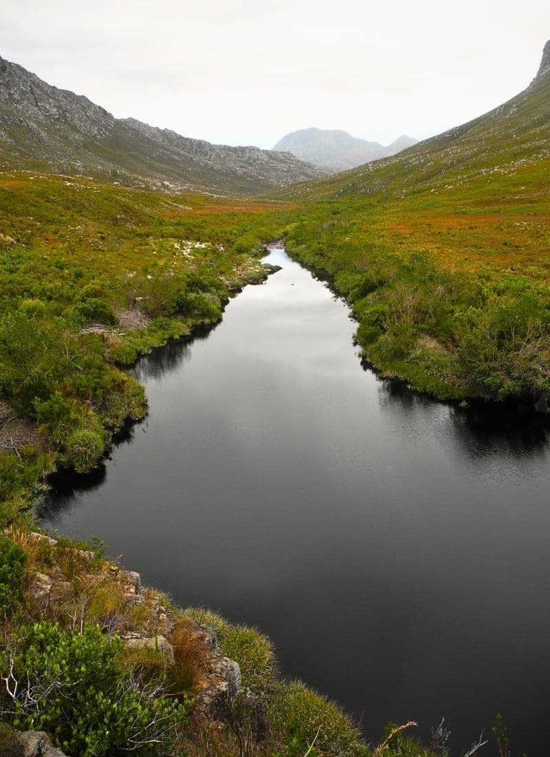 Landscape view of the Kogelberg Nature Reserve in the Western Cape, South Africa