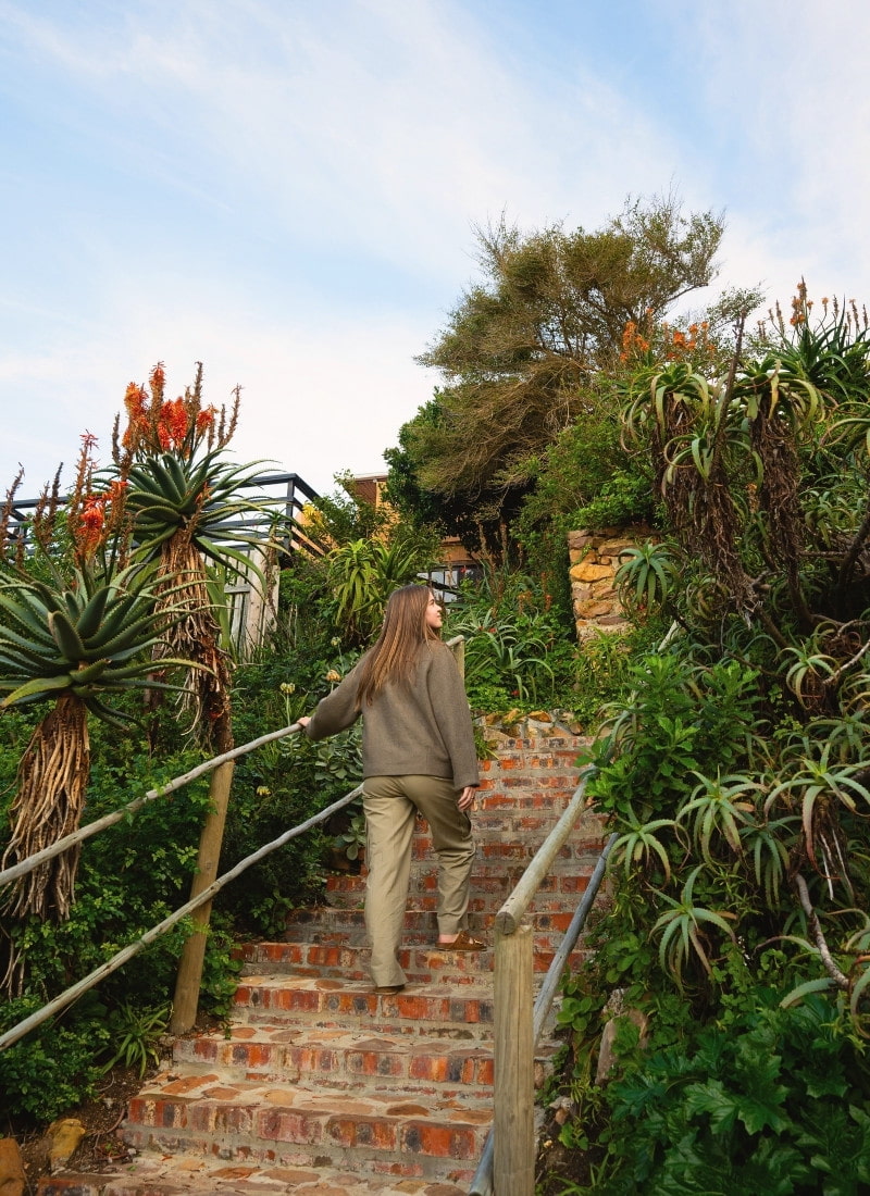 Woman walking up a stairway surrounded by flowering aloes at Cape Point Mountain Getaway eco-retreat near Cape Town