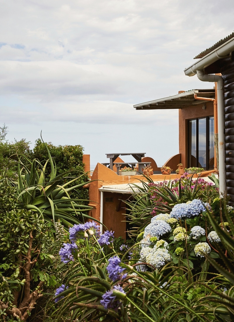 Deck of the main house at Cape Point Mountain Getaway near Cape Town, surrounded by indigenous greenery and flowers, with warm natural orange exterior walls
