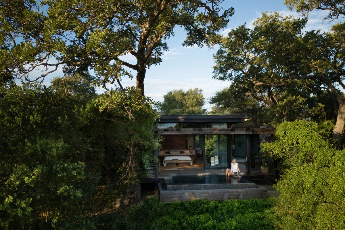 Tanda Tula safari suite nestled among trees in the Timbavati Private Nature Reserve, Greater Kruger, almost floating in the trees.