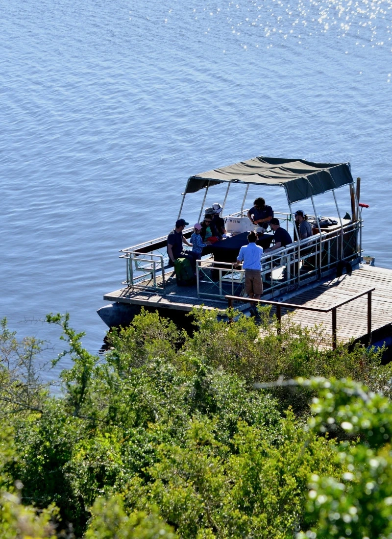 Ecoboat at the dock about to cross the De Hoop vlei, the signature slow-paced birding activity at De Hoop Nature Reserve