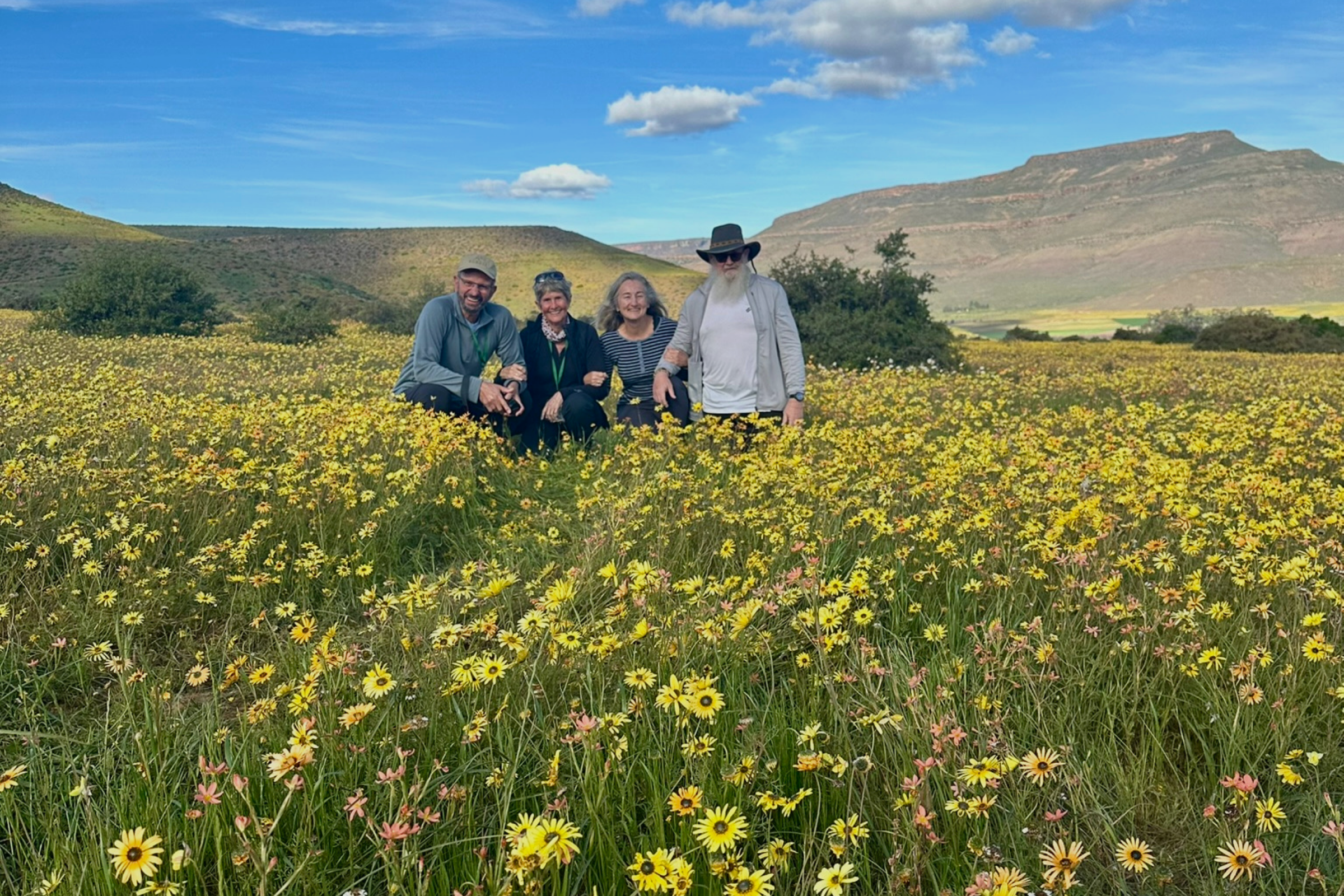 Four visitors standing in a field of blooming yellow daisies on a West Coast flower tour, South Africa