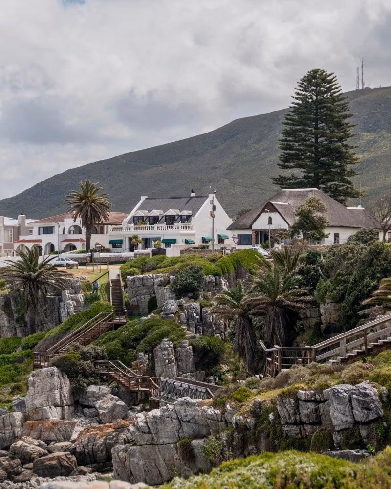 A section of the Hermanus Cliff Path walking route along the Walker Bay coastline