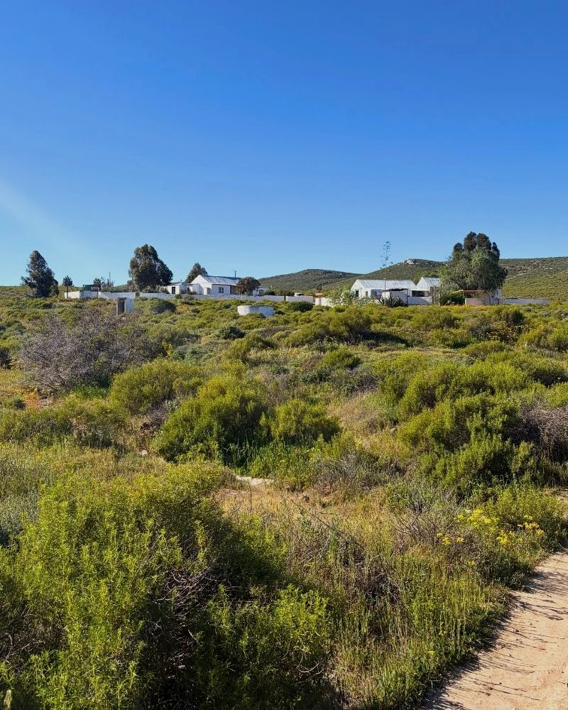 Nigramoep farm buildings inside a whitewashed wall, with open veld in front, 60km from Springbok in Namaqualand