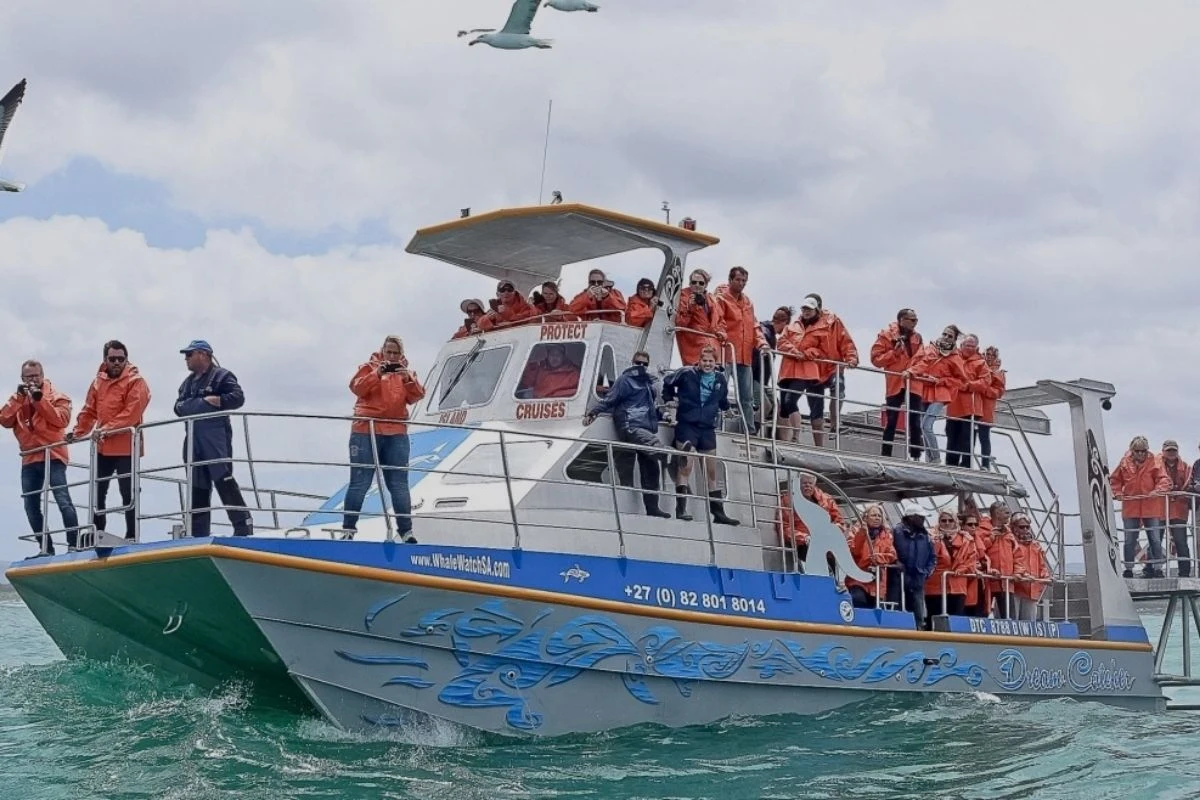 Dream Catcher whale-watching boat full of tourists on a Marine Big 5 tour off Gansbaai.