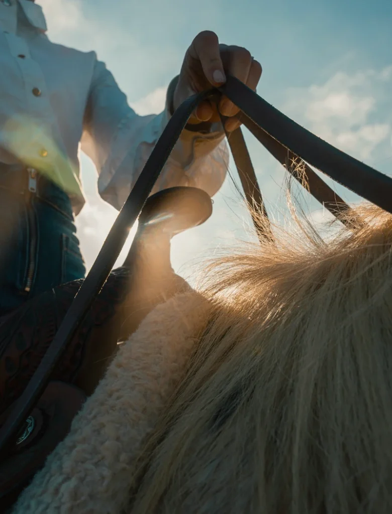 A riders hand holding reigns over a horse's mane
